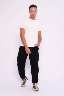 Джоггеры В-107