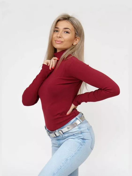 Водолазка мод.1461/8