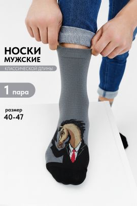 Носки мужские Жак