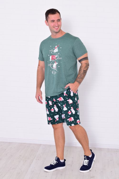 Пижама мужская 9-213 (изумруд)