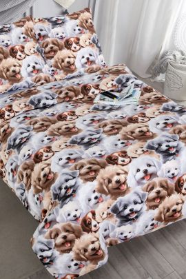Постельное белье Дружок 912 912