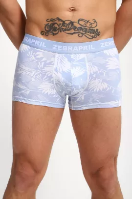 Трусы мужские 45072